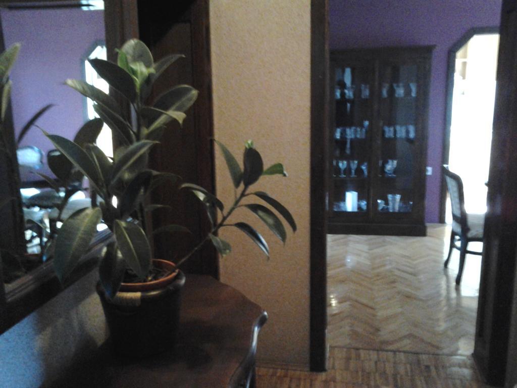 Apartments Jurasic Ogulin Εξωτερικό φωτογραφία